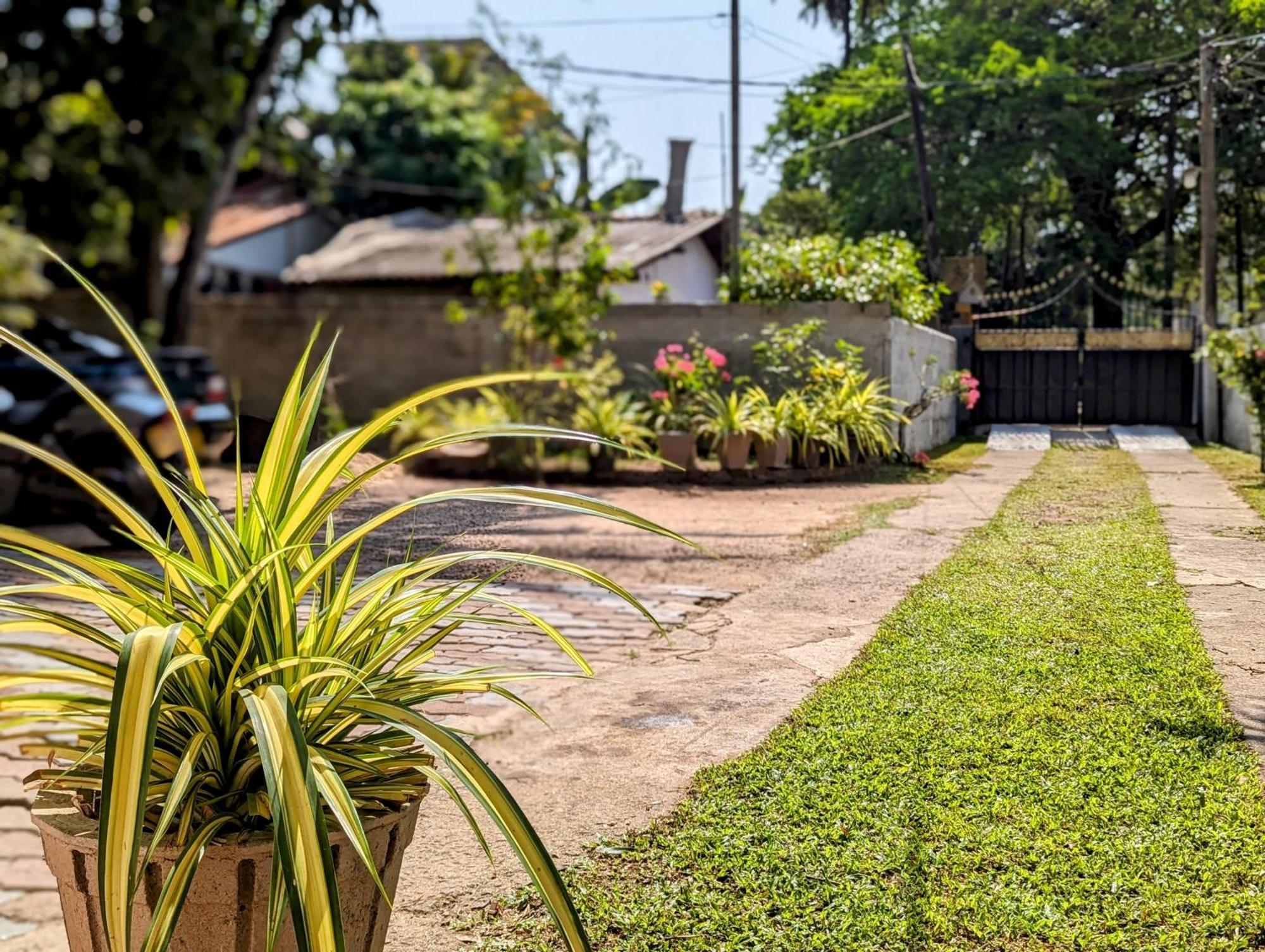 Villa 163 Negombo Exterior foto